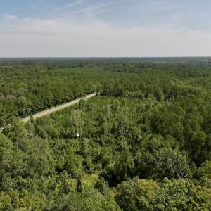 Photo #3 of Off of W Magnolia Lisbon Rd, Garland, NC 12.0 acres