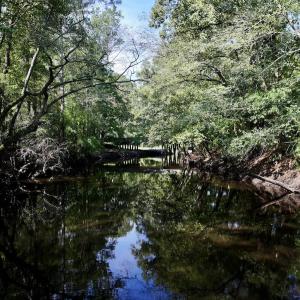 Photo #4 of Off of W Magnolia Lisbon Rd, Garland, NC 12.0 acres