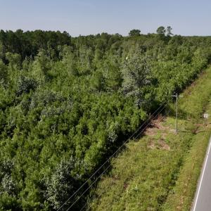 Photo #6 of Off of W Magnolia Lisbon Rd, Garland, NC 12.0 acres