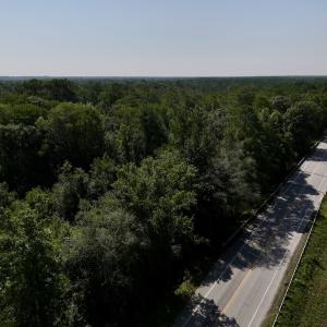 Photo #8 of Off of W Magnolia Lisbon Rd, Garland, NC 12.0 acres