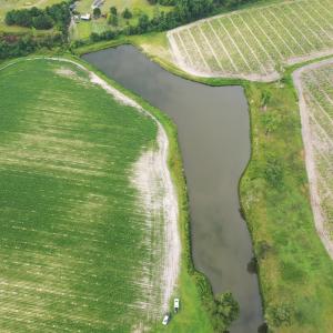Photo #2 of Off of Beth Ln, Nichols, SC 45.5 acres