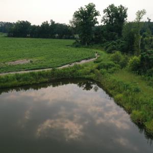 Photo #22 of Off of Beth Ln, Nichols, SC 45.5 acres
