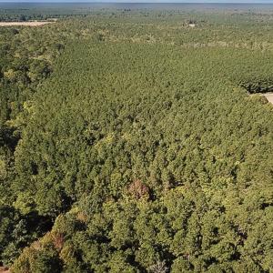 Photo #1 of Off of Cypress Chapel Rd Suffolk, Suffolk, VA 14.9 acres