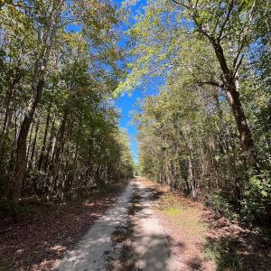 Photo #8 of Off of Cypress Chapel Rd Suffolk, Suffolk, VA 14.9 acres