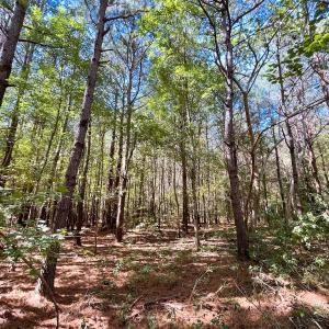 Photo #32 of Off of Cypress Chapel Rd Suffolk, Suffolk, VA 14.9 acres