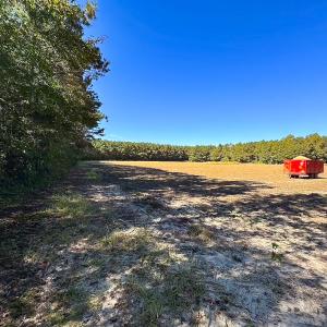 Photo #2 of Off of Cypress Chapel Rd, Whaleyville, VA 45.5 acres