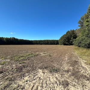 Photo #8 of Off of Cypress Chapel Rd, Whaleyville, VA 45.5 acres