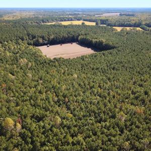 Photo #17 of Off of Cypress Chapel Rd, Whaleyville, VA 45.5 acres