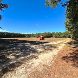 Photo #24 of Off of Cypress Chapel Rd, Whaleyville, VA 45.5 acres