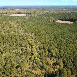 Photo #28 of Off of Cypress Chapel Rd, Whaleyville, VA 45.5 acres