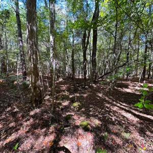 Photo #34 of Off of Cypress Chapel Rd, Whaleyville, VA 45.5 acres