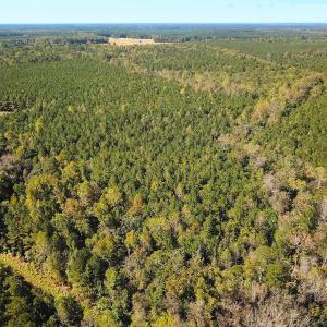 Photo #38 of Off of Cypress Chapel Rd, Whaleyville, VA 45.5 acres
