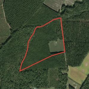 Photo #48 of Off of Cypress Chapel Rd, Whaleyville, VA 45.5 acres