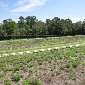 Photo #10 of Off of Ward Town Road S., Whiteville, NC 70.4 acres