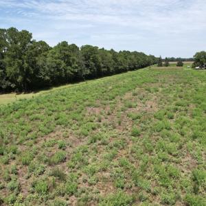 Photo #11 of Off of Ward Town Road S., Whiteville, NC 70.4 acres