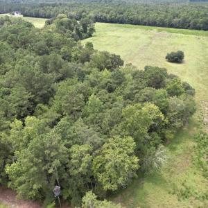 Photo #12 of Off of Ward Town Road S., Whiteville, NC 70.4 acres