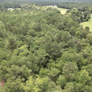 Photo #13 of Off of Ward Town Road S., Whiteville, NC 70.4 acres