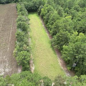 Photo #14 of Off of Ward Town Road S., Whiteville, NC 70.4 acres