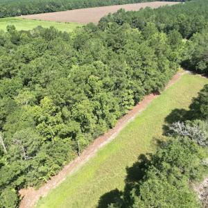 Photo #15 of Off of Ward Town Road S., Whiteville, NC 70.4 acres