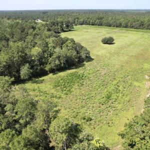 Photo #16 of Off of Ward Town Road S., Whiteville, NC 70.4 acres