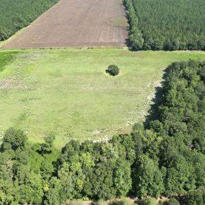 Photo #17 of Off of Ward Town Road S., Whiteville, NC 70.4 acres