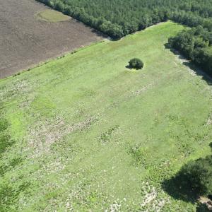 Photo #18 of Off of Ward Town Road S., Whiteville, NC 70.4 acres