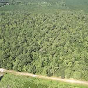 Photo #19 of Off of Ward Town Road S., Whiteville, NC 70.4 acres