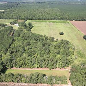 Photo #2 of Off of Ward Town Road S., Whiteville, NC 70.4 acres