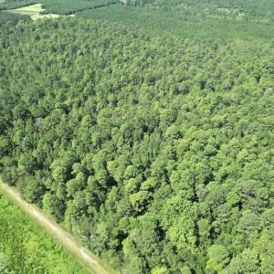 Photo #20 of Off of Ward Town Road S., Whiteville, NC 70.4 acres