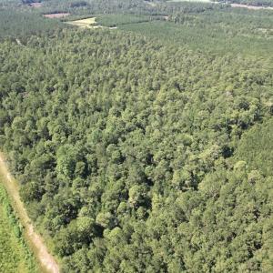 Photo #21 of Off of Ward Town Road S., Whiteville, NC 70.4 acres