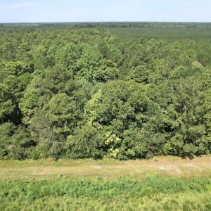 Photo #22 of Off of Ward Town Road S., Whiteville, NC 70.4 acres