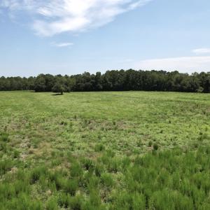 Photo #23 of Off of Ward Town Road S., Whiteville, NC 70.4 acres