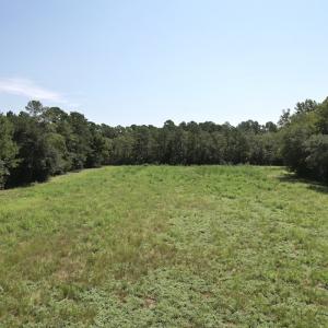 Photo #24 of Off of Ward Town Road S., Whiteville, NC 70.4 acres