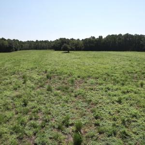 Photo #25 of Off of Ward Town Road S., Whiteville, NC 70.4 acres