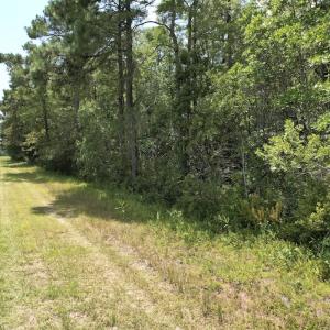 Photo #26 of Off of Ward Town Road S., Whiteville, NC 70.4 acres