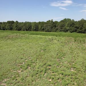 Photo #29 of Off of Ward Town Road S., Whiteville, NC 70.4 acres