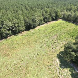 Photo #30 of Off of Ward Town Road S., Whiteville, NC 70.4 acres