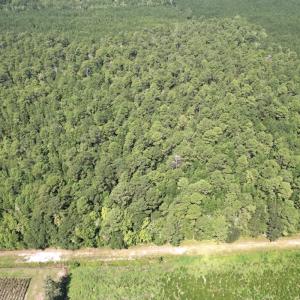 Photo #31 of Off of Ward Town Road S., Whiteville, NC 70.4 acres