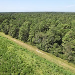 Photo #32 of Off of Ward Town Road S., Whiteville, NC 70.4 acres