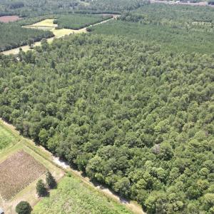 Photo #34 of Off of Ward Town Road S., Whiteville, NC 70.4 acres