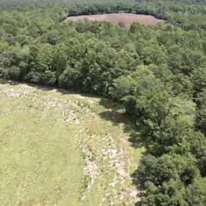 Photo #35 of Off of Ward Town Road S., Whiteville, NC 70.4 acres