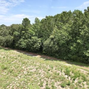 Photo #36 of Off of Ward Town Road S., Whiteville, NC 70.4 acres
