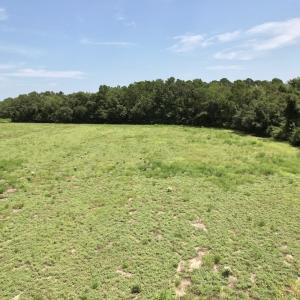 Photo #38 of Off of Ward Town Road S., Whiteville, NC 70.4 acres