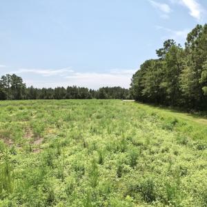 Photo #39 of Off of Ward Town Road S., Whiteville, NC 70.4 acres