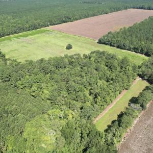 Photo #4 of Off of Ward Town Road S., Whiteville, NC 70.4 acres