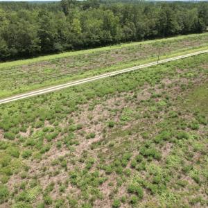 Photo #41 of Off of Ward Town Road S., Whiteville, NC 70.4 acres