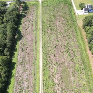 Photo #42 of Off of Ward Town Road S., Whiteville, NC 70.4 acres
