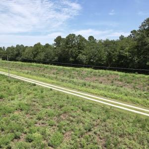 Photo #43 of Off of Ward Town Road S., Whiteville, NC 70.4 acres