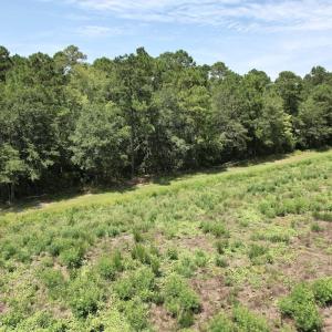 Photo #44 of Off of Ward Town Road S., Whiteville, NC 70.4 acres