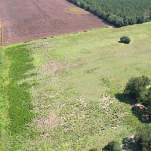 Photo #45 of Off of Ward Town Road S., Whiteville, NC 70.4 acres